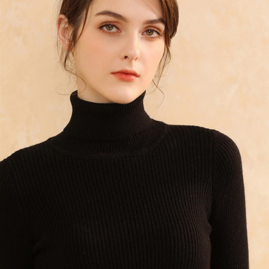 Turtleneck Women Sweater  for Autumn And Winter